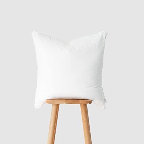 Hofdeco Premium Throw Pillow Inserts Set of 2 22x22 for 20x20 Covers