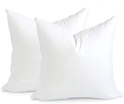 Hofdeco Premium Throw Pillow Inserts Set of 2 22x22 for 20x20 Covers