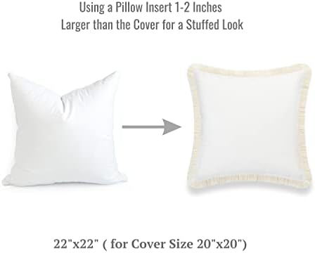 Hofdeco Premium Throw Pillow Inserts Set of 2 22x22 for 20x20 Covers
