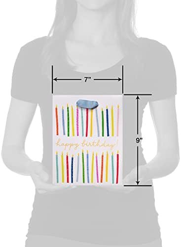 Papyrus 9 Inch Birthday Gift Bag with Candles