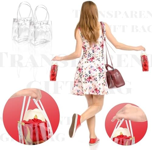 BadenBach 24 PCS Mini Clear Gift Bags with Handle