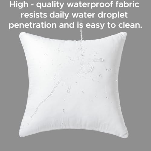 16 x 16 Outdoor Pillow Inserts Set of 2