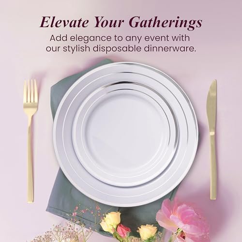 Ayas 60 Silver Rimmed Plastic Plates Set