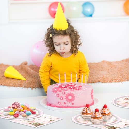 40Pcs Fairy Themed Paper Plates Napkins Party Set