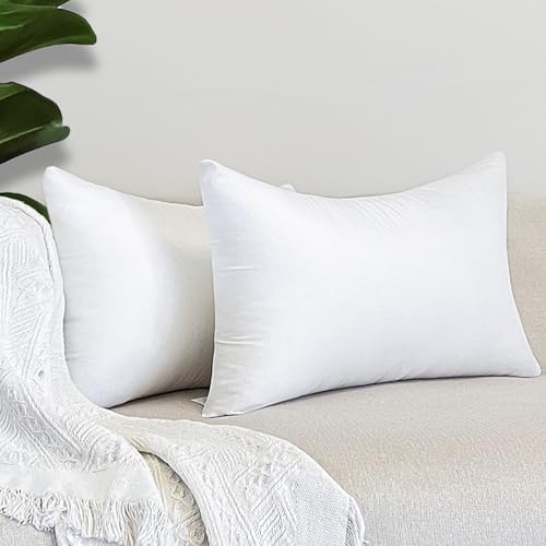 12x20 Inch Outdoor Pillow Inserts Pack of 2