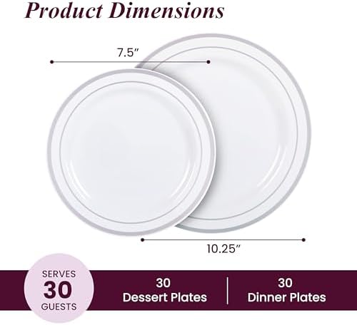 Ayas 60 Silver Rimmed Plastic Plates Set