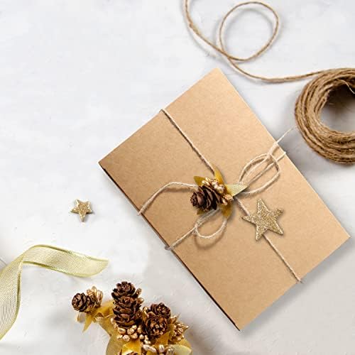 10 Pack Brown Gift Boxes with Twine for Events