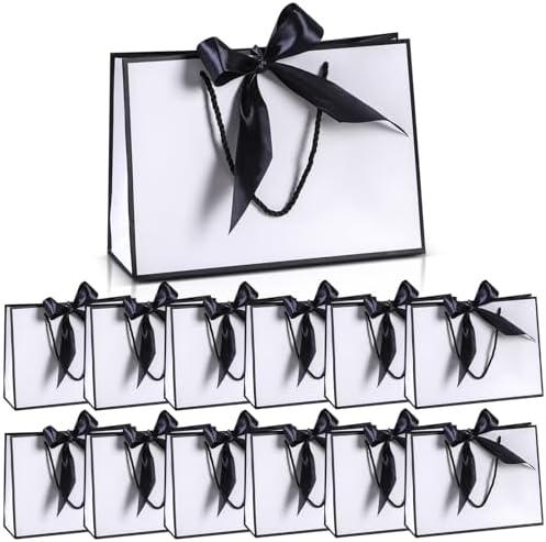 SJORHNUS Gift Paper Bags with Handles 12 Pack