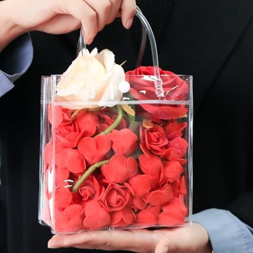 BadenBach 24 PCS Mini Clear Gift Bags with Handle