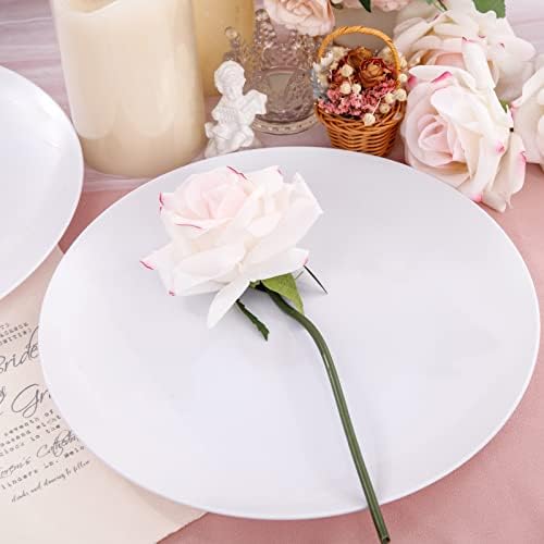 Hioasis 100pcs White Plastic Plates 1025 Inch
