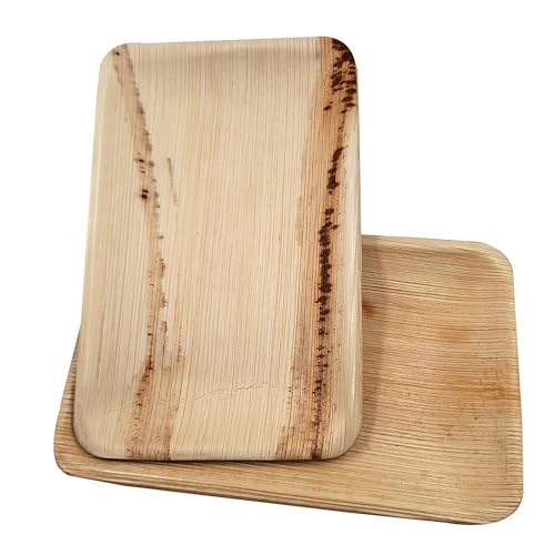 Dtocs Eco-Friendly Compostable 6x9 Inch Plates Pack 50