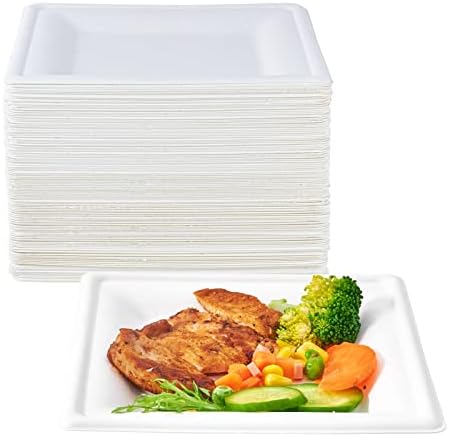 ECOLipak 150 Piece Compostable Square Plates 6 Inch