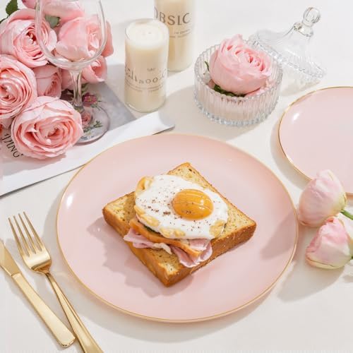 PULOTE 200 Pieces Pink Plastic Plates - Wedding Party