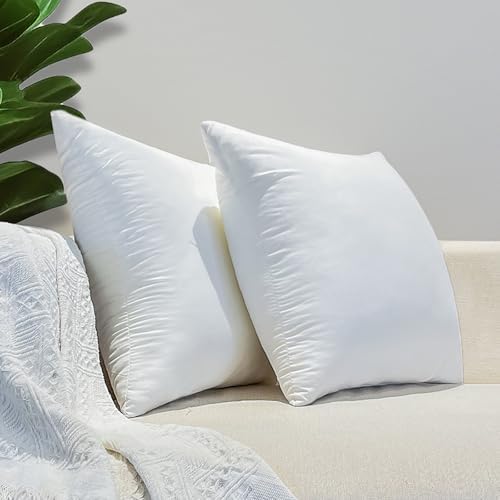 20x20 Inch Outdoor Pillow Inserts Pack of 2