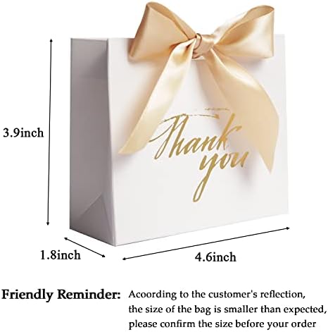 DECHISY 24 Pack Small Gift Bags with Gold Bow 1