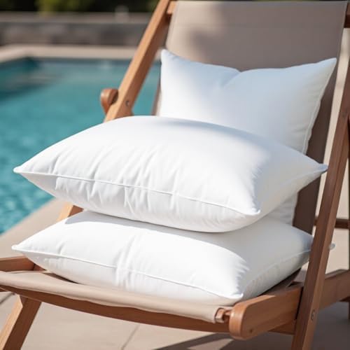 20x20 Waterproof Pillow Inserts Set of 4