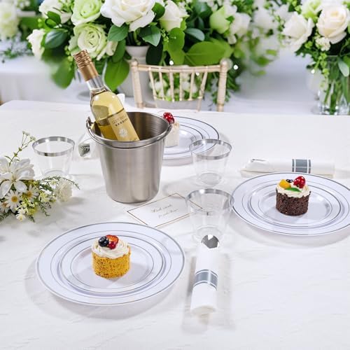 DaYammi 350PCS Silver Plastic Dinnerware Set for 50 Guests