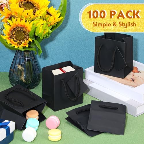 Sherr 100 Pack Mini Gift Bags with Handles Black