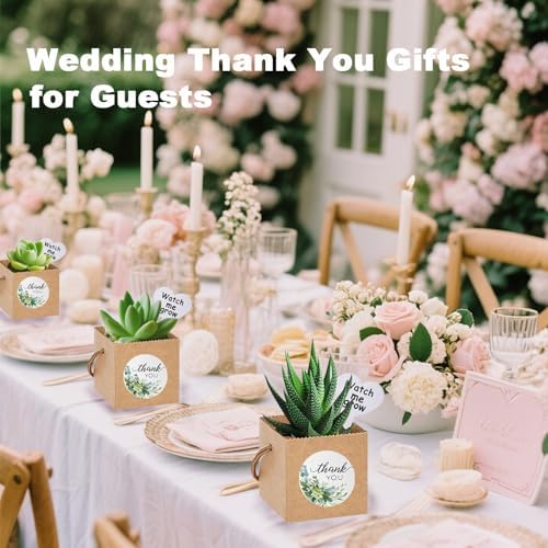 40 Pack Succulent Wrap Bags with Gift Box Set