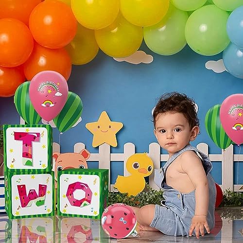 Cartoon Melon 2nd Birthday Balloon Gift Boxes Decor