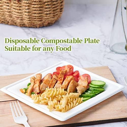 ECOLipak 150 Piece Compostable Square Plates 6 Inch
