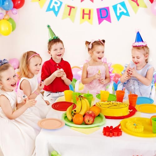 50PCS Rainbow Paper Plates for Parties