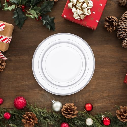 JollyPack 100 Piece Disposable Silver Plates Set