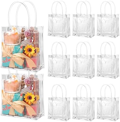 BESARME 60 Pack Clear Gift Bags with Handle
