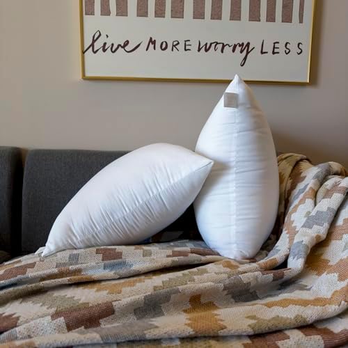 16 x 16 Outdoor Pillow Inserts Pack of 2 White