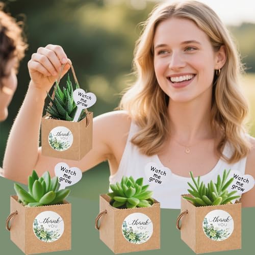 40 Pack Succulent Wrap Bags with Gift Box Set