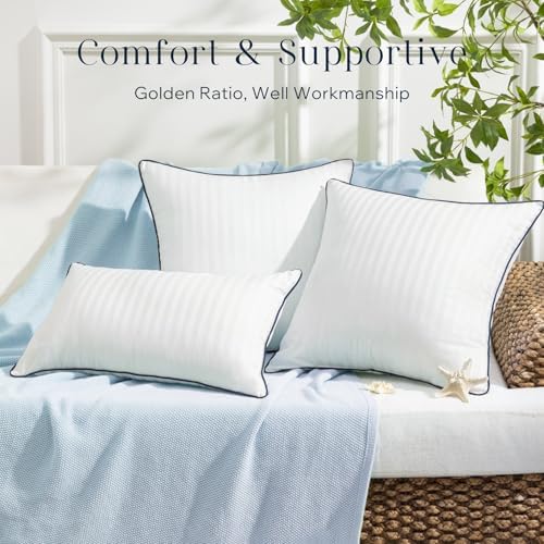 Phantoscope Waterproof Pillow Inserts Pack of 2