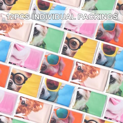 SEIBER Large Glasses Cleaning Cloth - 7x8in Multicolor