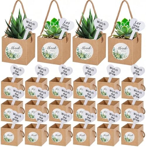 40 Pack Succulent Wrap Bags with Gift Box Set