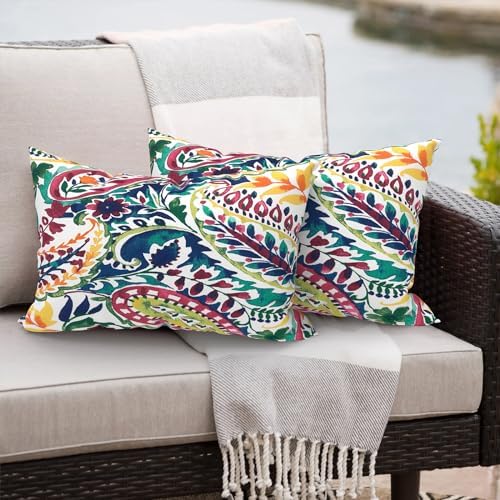 Vigour Paisley Lumbar Pillow Set 12x20 Inch Water Repellent Pack of 2