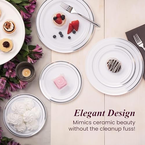 Ayas 60 Silver Rimmed Plastic Plates Set