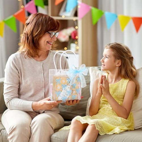 Whaline 12 Pcs Clear PVC Gift Bags with Blue Bowknot and Daisy Design