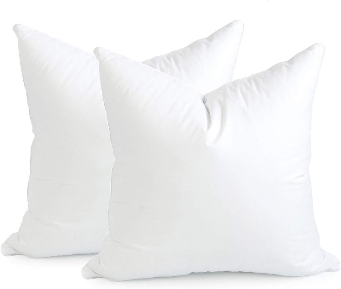 Hofdeco Premium Throw Pillow Inserts Set of 2 22x22 for 20x20 Covers