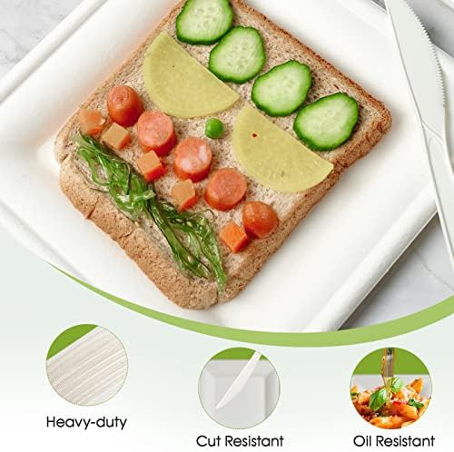 ECOLipak 150 Piece Compostable Square Plates 6 Inch