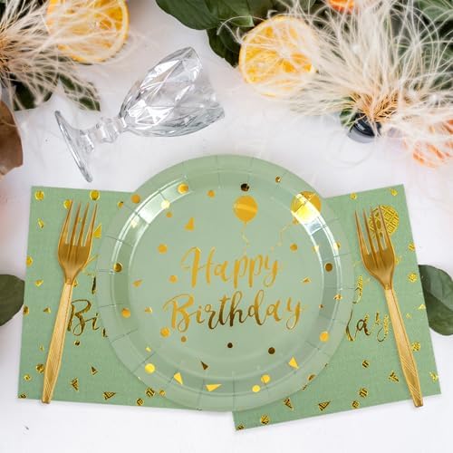 48PCS Happy Birthday Party Plates Napkins Set