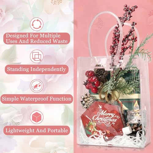 WhizToys 12PCS Clear Gift Bags With Handles