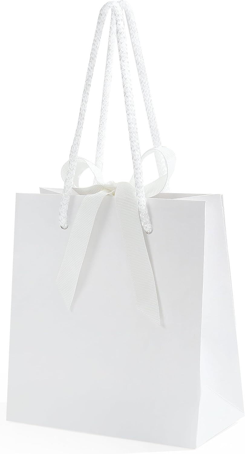 SHYRABBIT 10pcs White Gift Bags with Handles