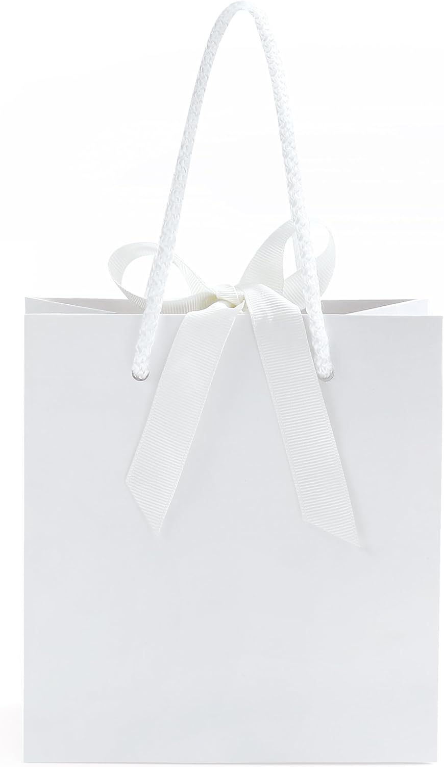 SHYRABBIT 10pcs White Gift Bags with Handles