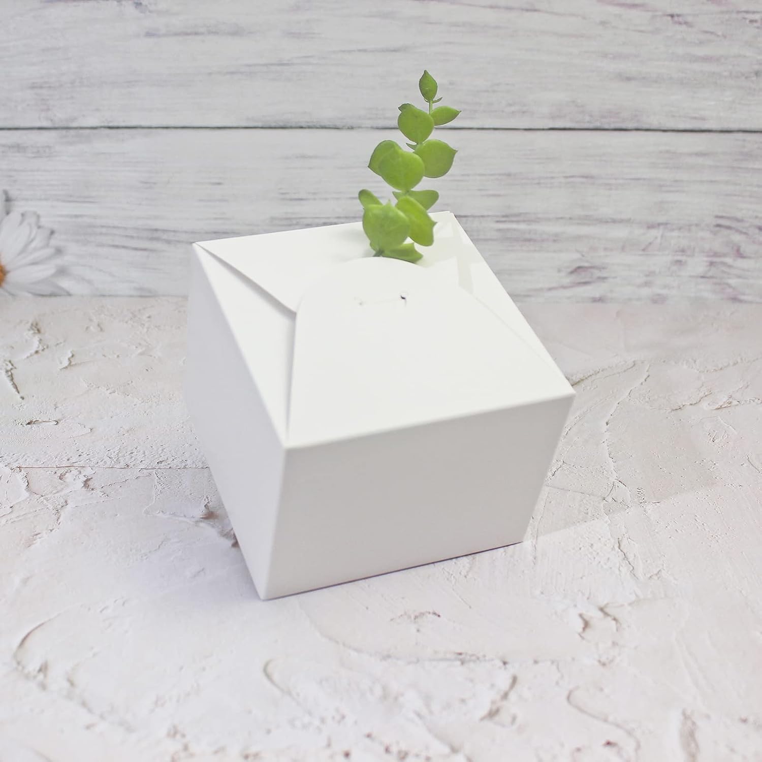 WEWILUCK 10 PCS Small White Gift Boxes with Lids