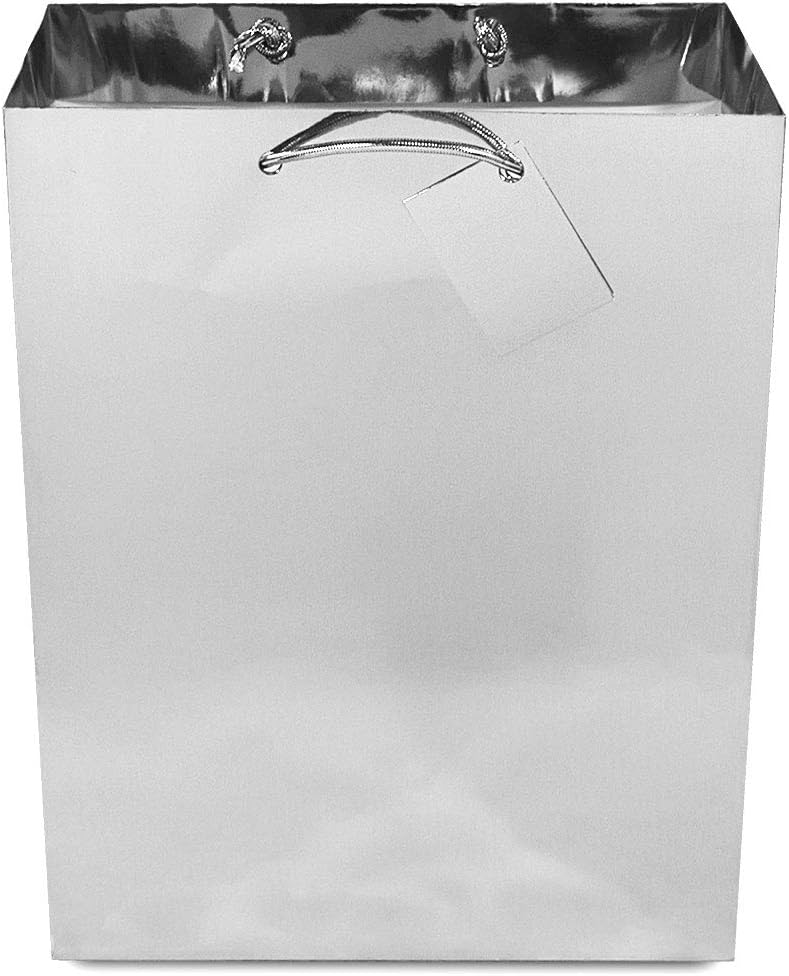 OccasionALL Small Gift Bags with Metallic Handles 12 Pack