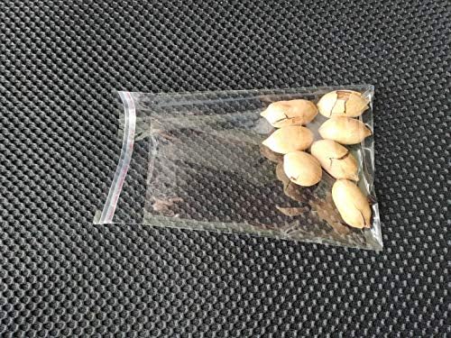 JOSDIOX 5x65 Inch Clear Cellophane Bags 100Pcs Resealable
