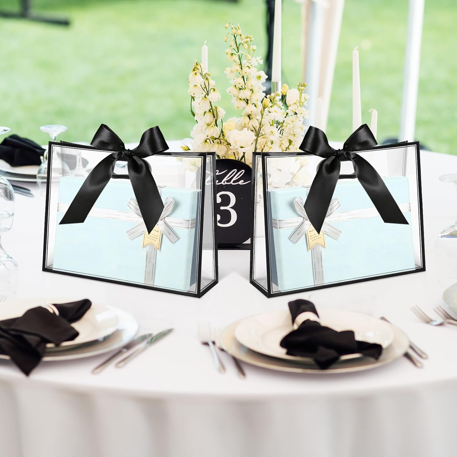 Aliceset 12 Pcs Clear Plastic Gift Bags with Handles Reusable