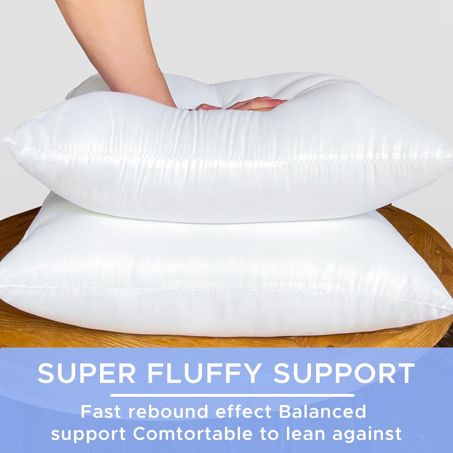 20x20 Inch Outdoor Pillow Inserts Pack of 2