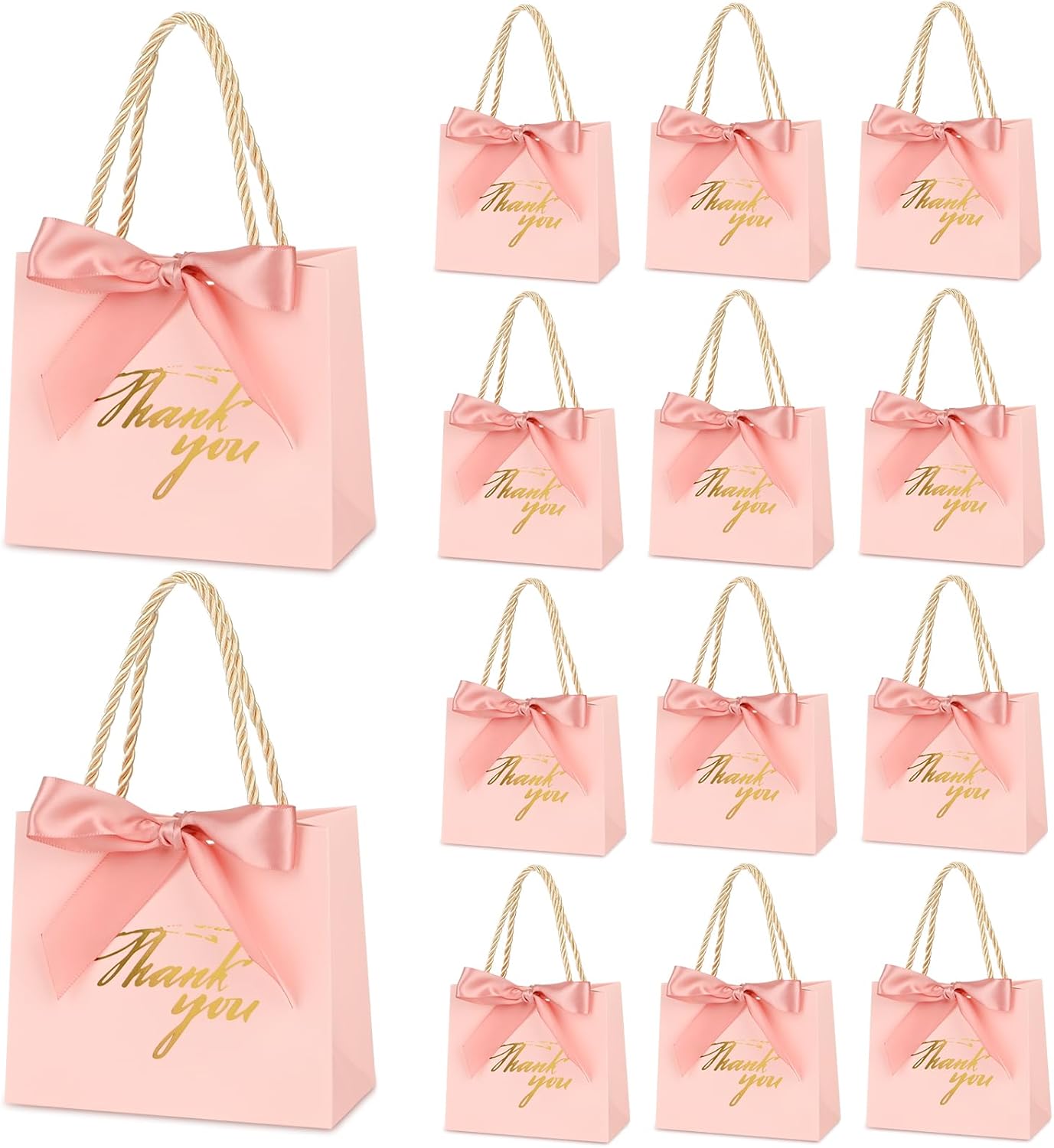 Mauproy 20 Pack Mini Pink Thank You Gift Bags with Handles and Ribbons