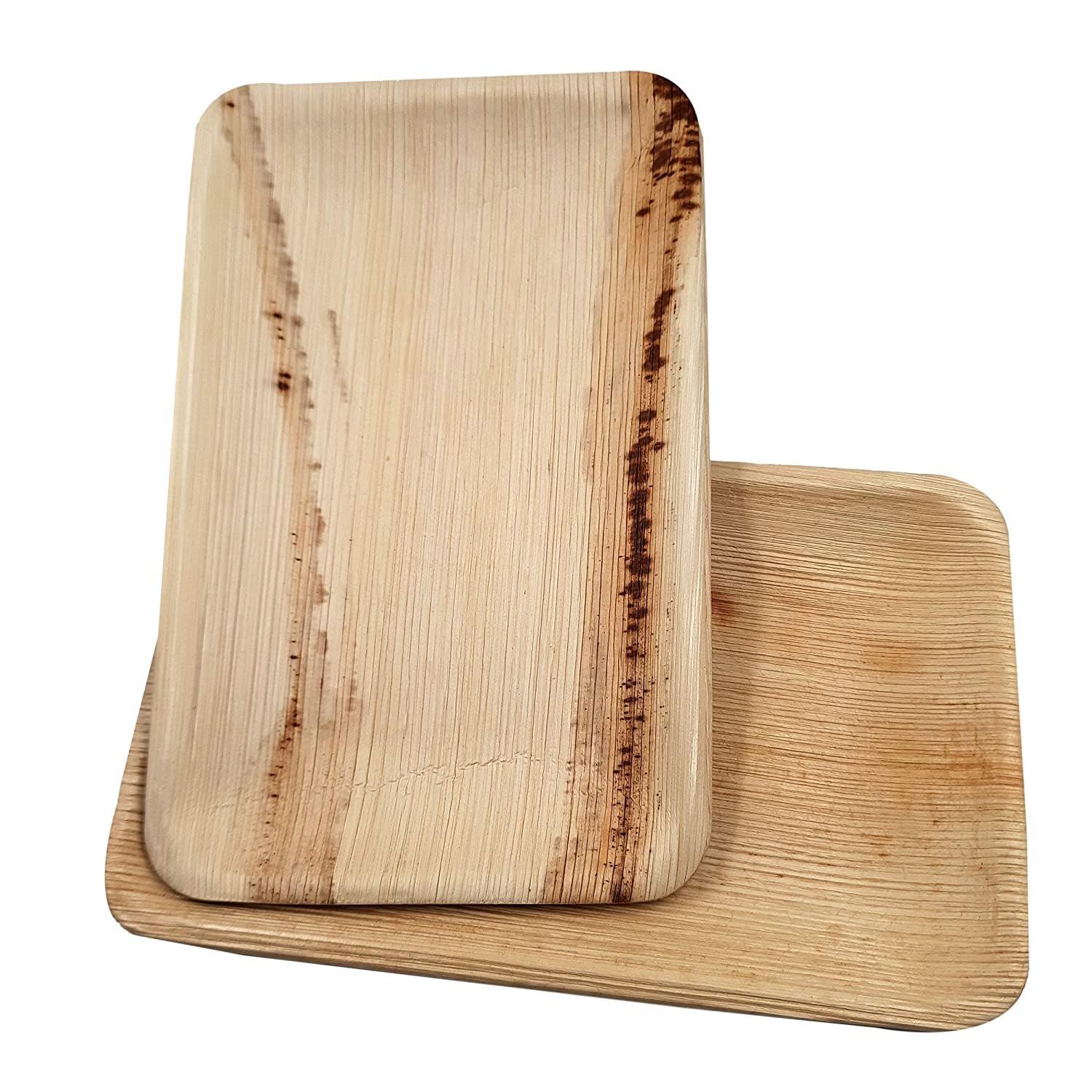 Dtocs Eco-Friendly Compostable 6x9 Inch Plates Pack 50