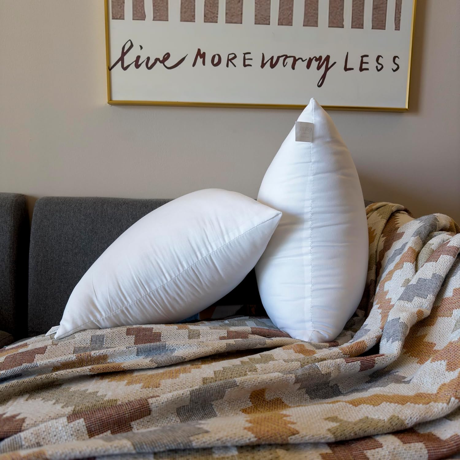 16 x 16 Outdoor Pillow Inserts Pack of 2 White